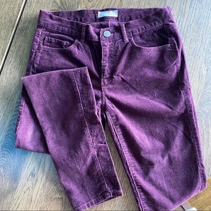 LOFT Velvet Jeans in Marsala